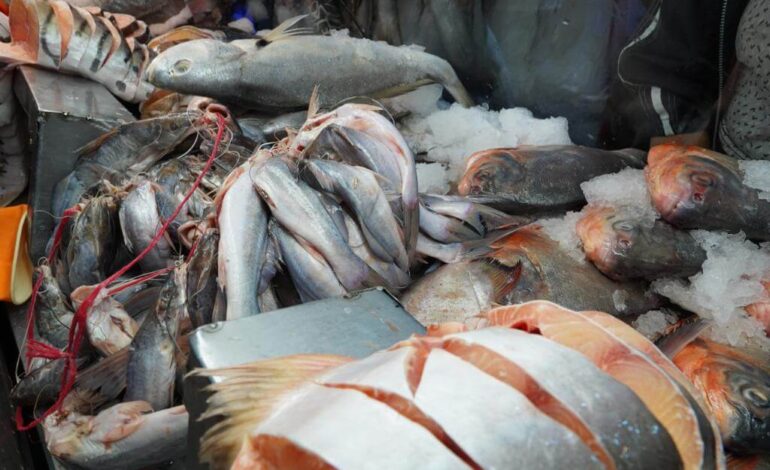 Para esta Semana Santa, comer pescado saldrá un 36% más caro que el año pasado