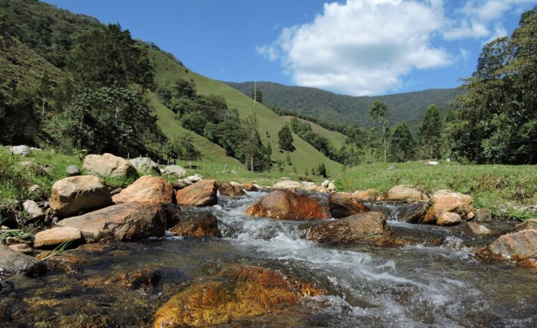 Medellín cuenta con una nueva reserva forestal