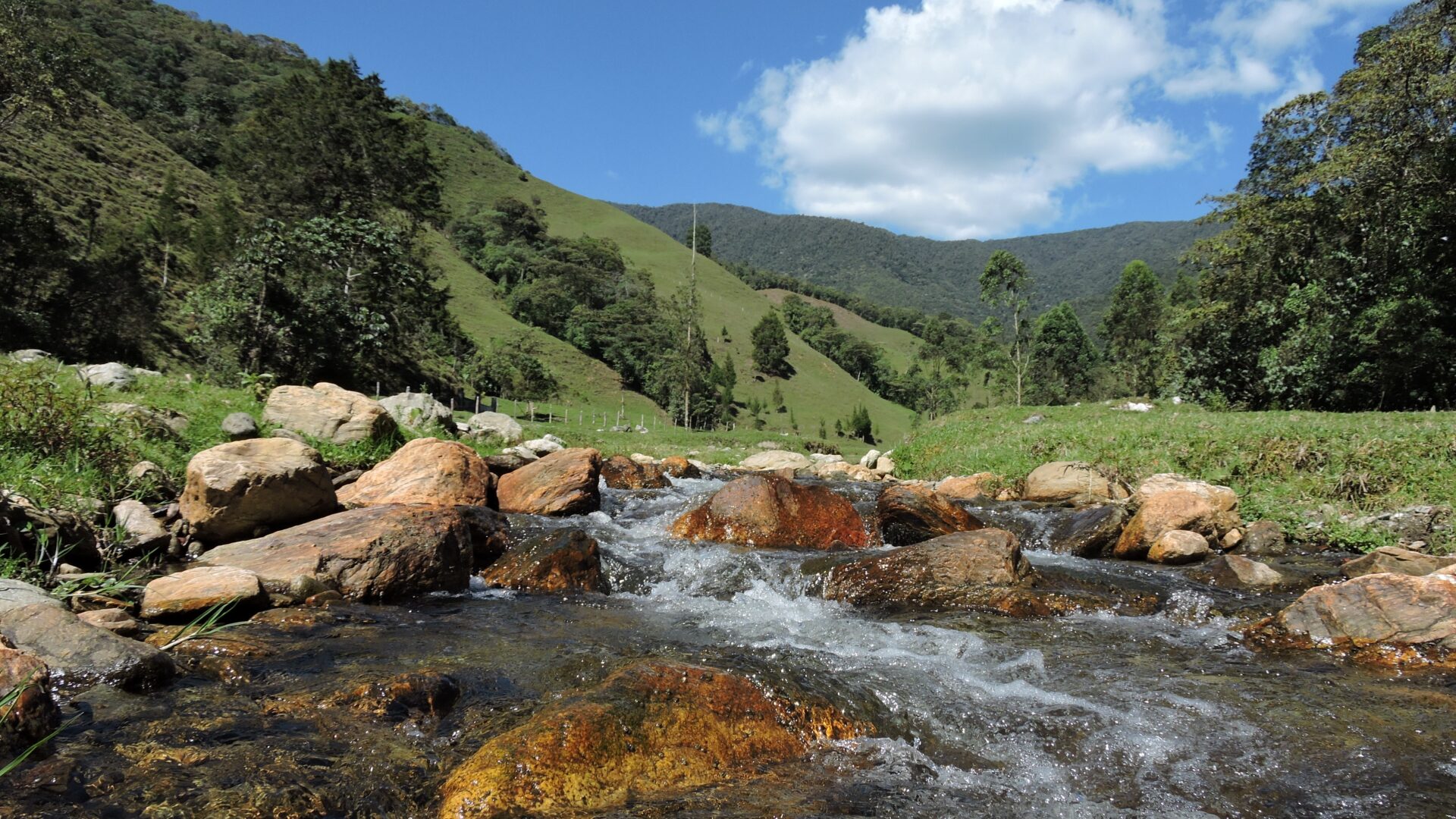 Medellín cuenta con una nueva reserva forestal