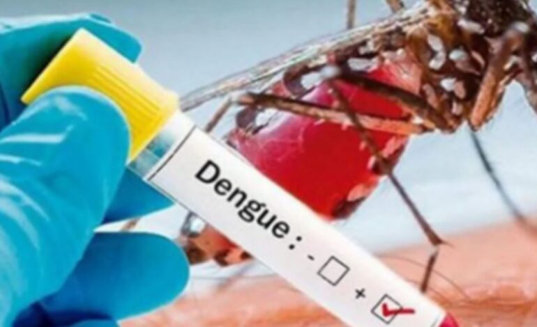 Alerta en Medellín: los casos de dengue están aumentando y hay riesgo de una epidemia