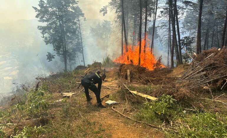 Arden las montañas de mi tierra: aumentaron los incendios en Medellín un 447% en este 2024