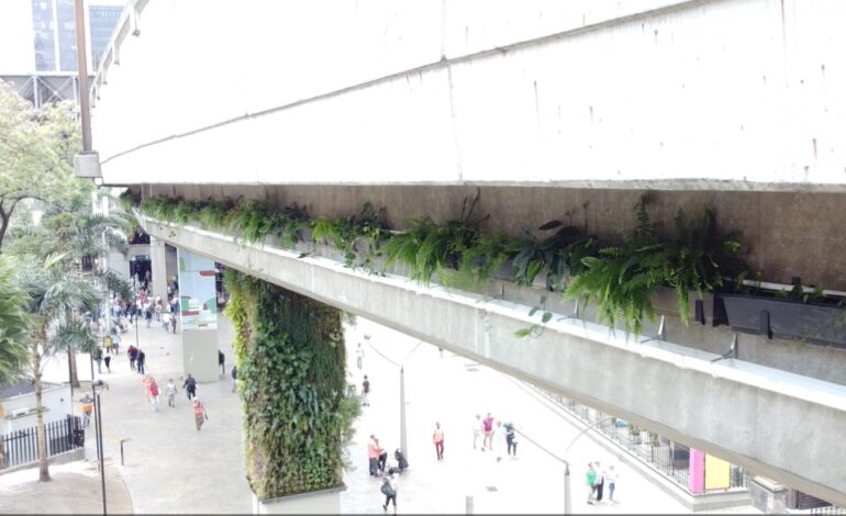 Con jardineras, la Alcaldía de Medellín busca embellecer y purificar el aire del Centro