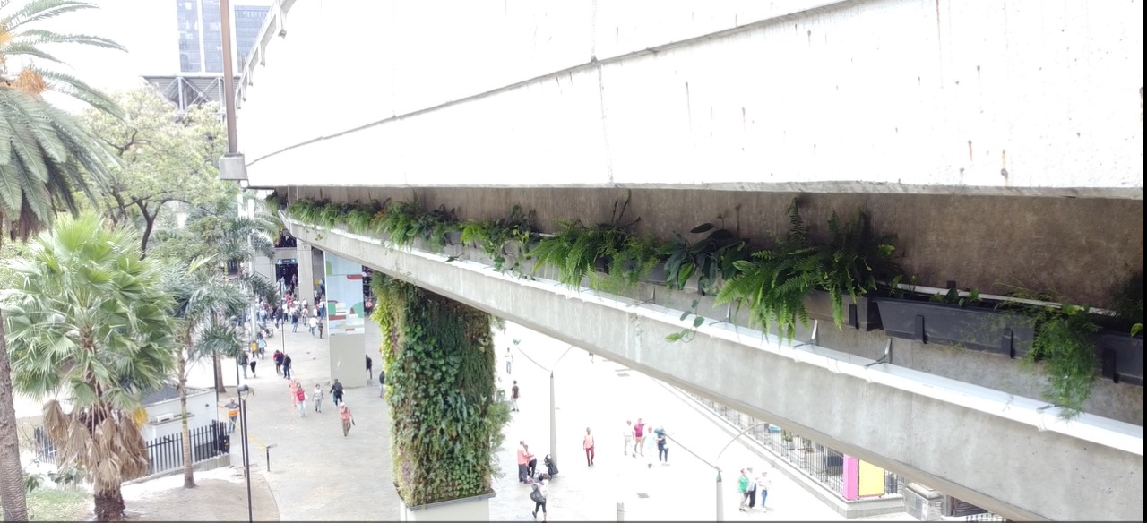 Con jardineras, la Alcaldía de Medellín busca embellecer y purificar el aire del Centro