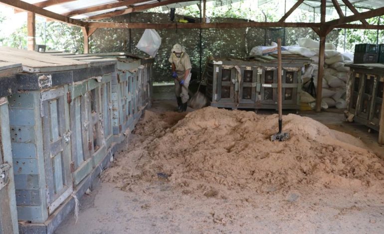 Medellín afianza la sostenibilidad y el bienestar animal con La Perla