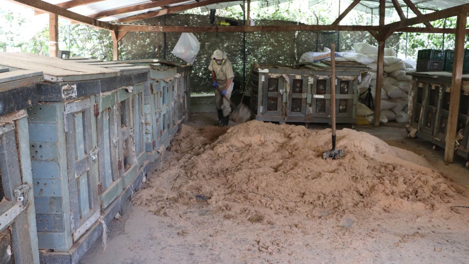 Medellín afianza la sostenibilidad y el bienestar animal con La Perla