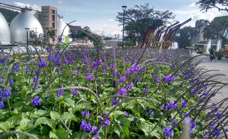 EPM va camino al barrio gana el Premio Corresponsables 2025 a la mejor información periodística