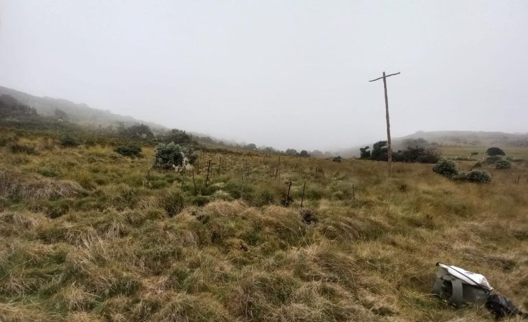 EPM y Fundación Natura restauran 364 hectáreas de ecosistemas estratégicos en Cundinamarca