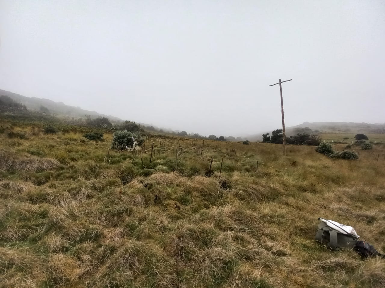 EPM y Fundación Natura restauran 364 hectáreas de ecosistemas estratégicos en Cundinamarca