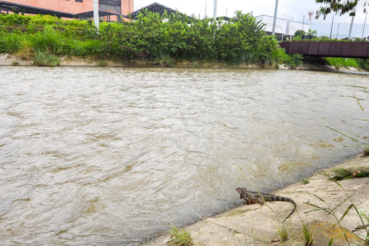 Medellín retoma el legado de Mi Río y anuncia inversión histórica para proteger el río y las quebradas