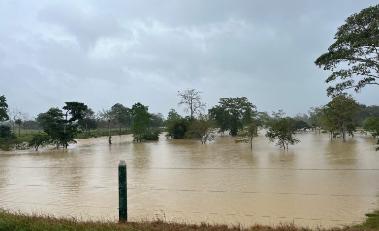 Gobierno aprovecha crisis por lluvias para intentar meter la emergencia económica mientras gobernadores ofrecen alternativas