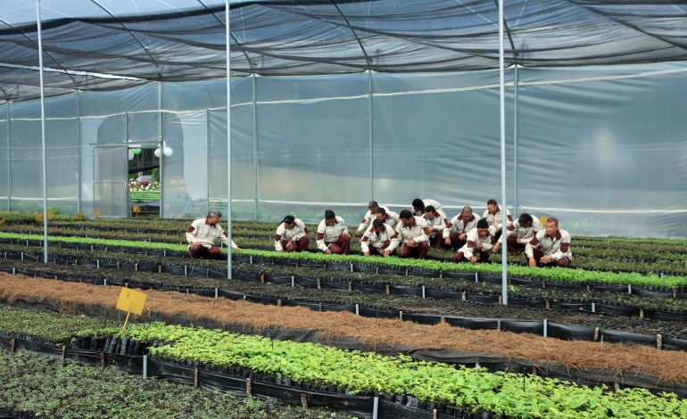 EPM impulsa la siembra de árboles en el Día Internacional de la Madre Tierra