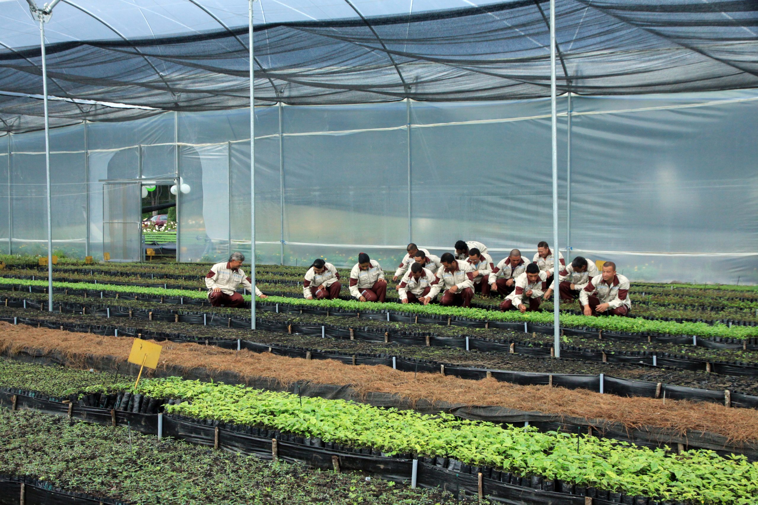 EPM impulsa la siembra de árboles en el Día Internacional de la Madre Tierra