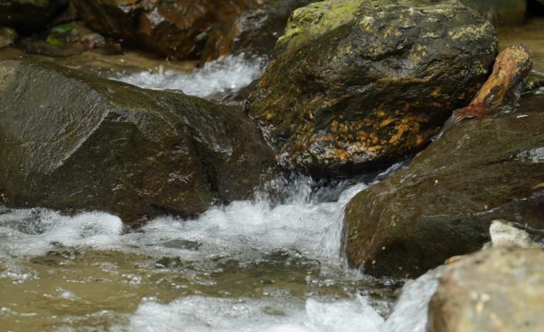 Medellín invierte $5.000 millones para blindar sus fuentes de agua