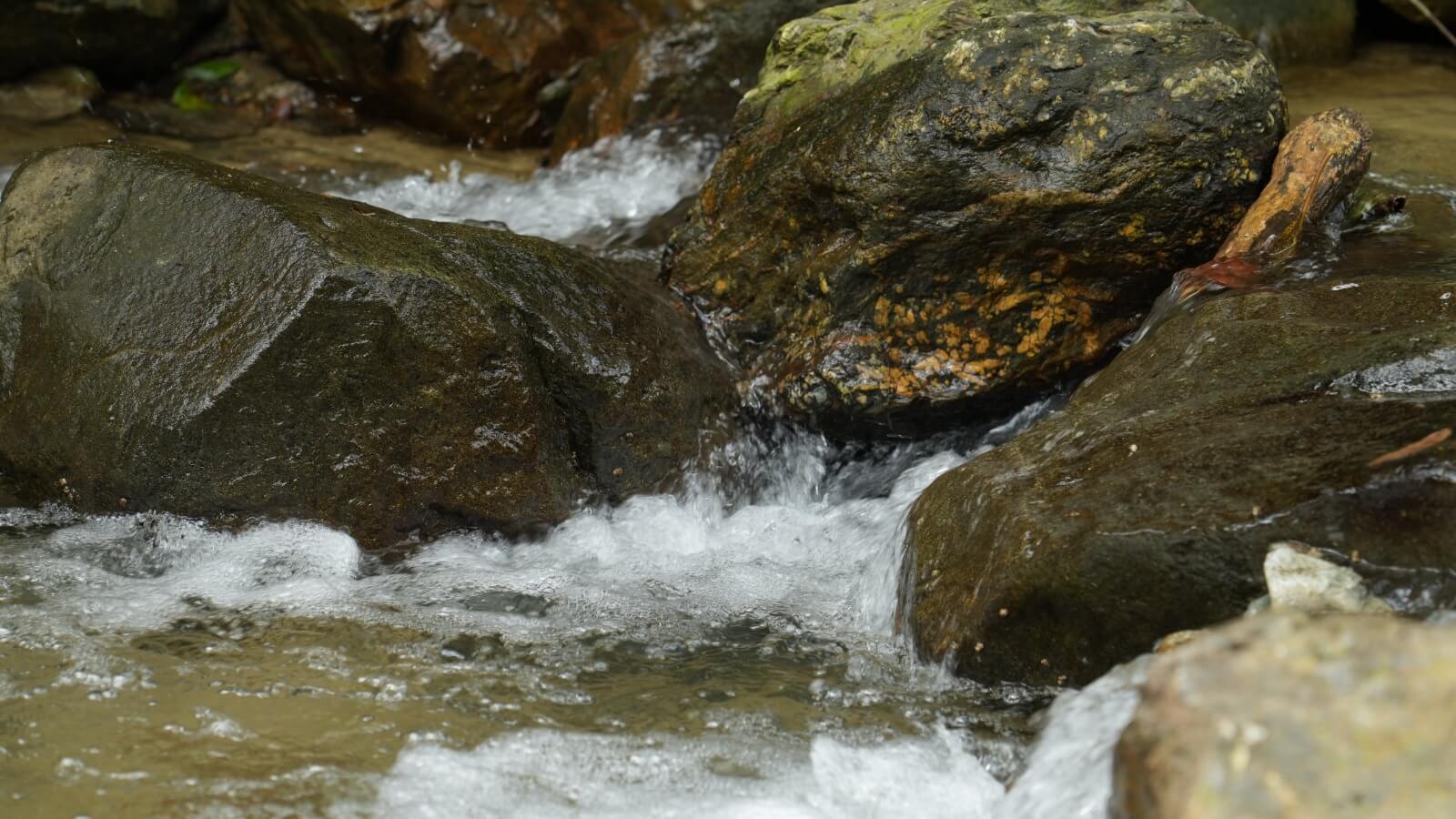 Medellín invierte $5.000 millones para blindar sus fuentes de agua
