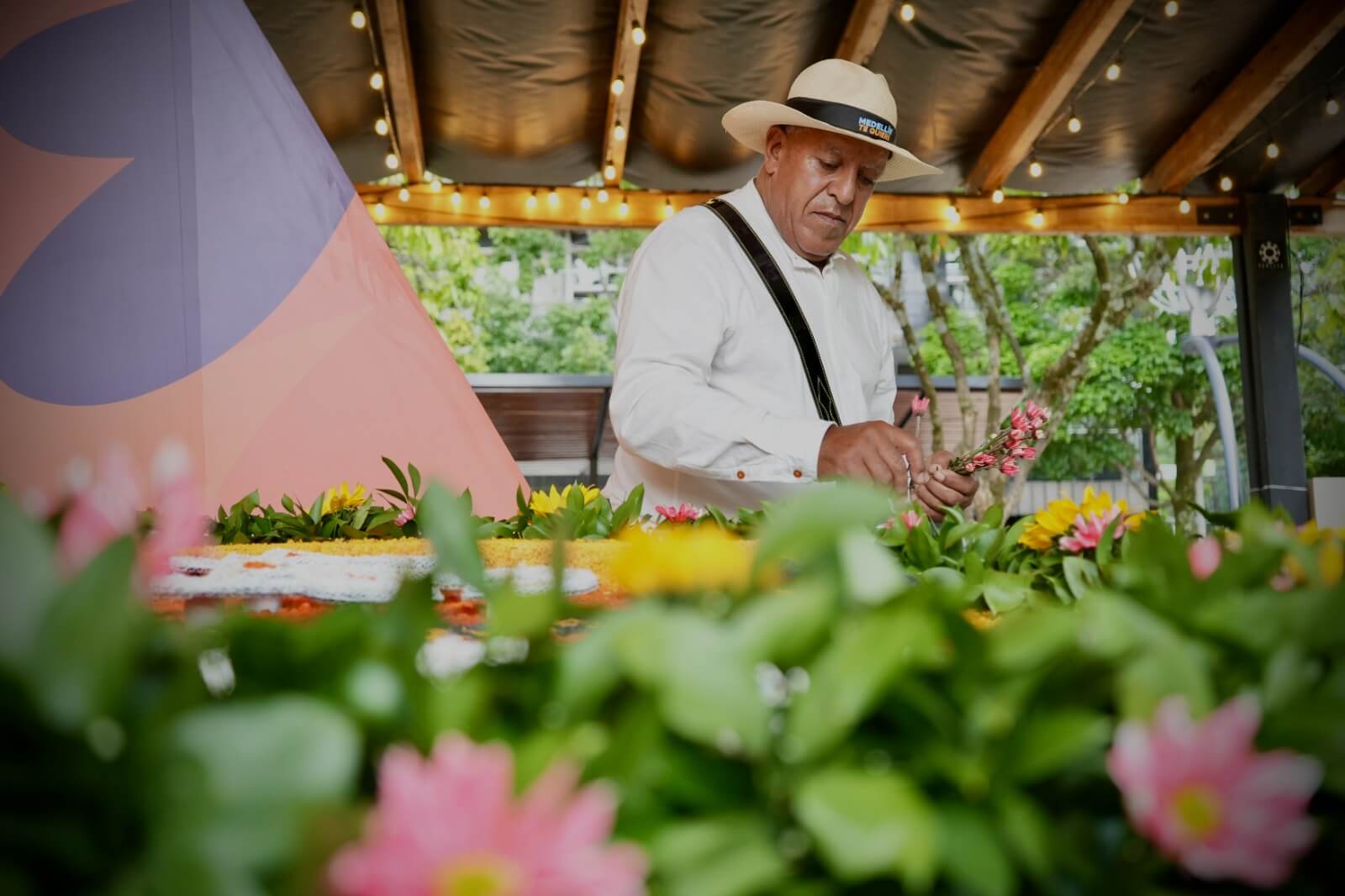 Plazas de Flores siguen con entrada libre en Medellín