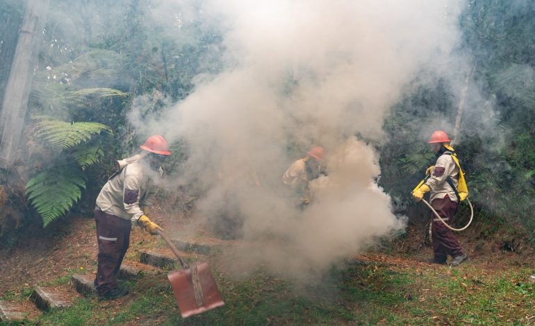 Simulacro en Parque Arví puso a prueba respuesta ante incendios forestales por El Niño