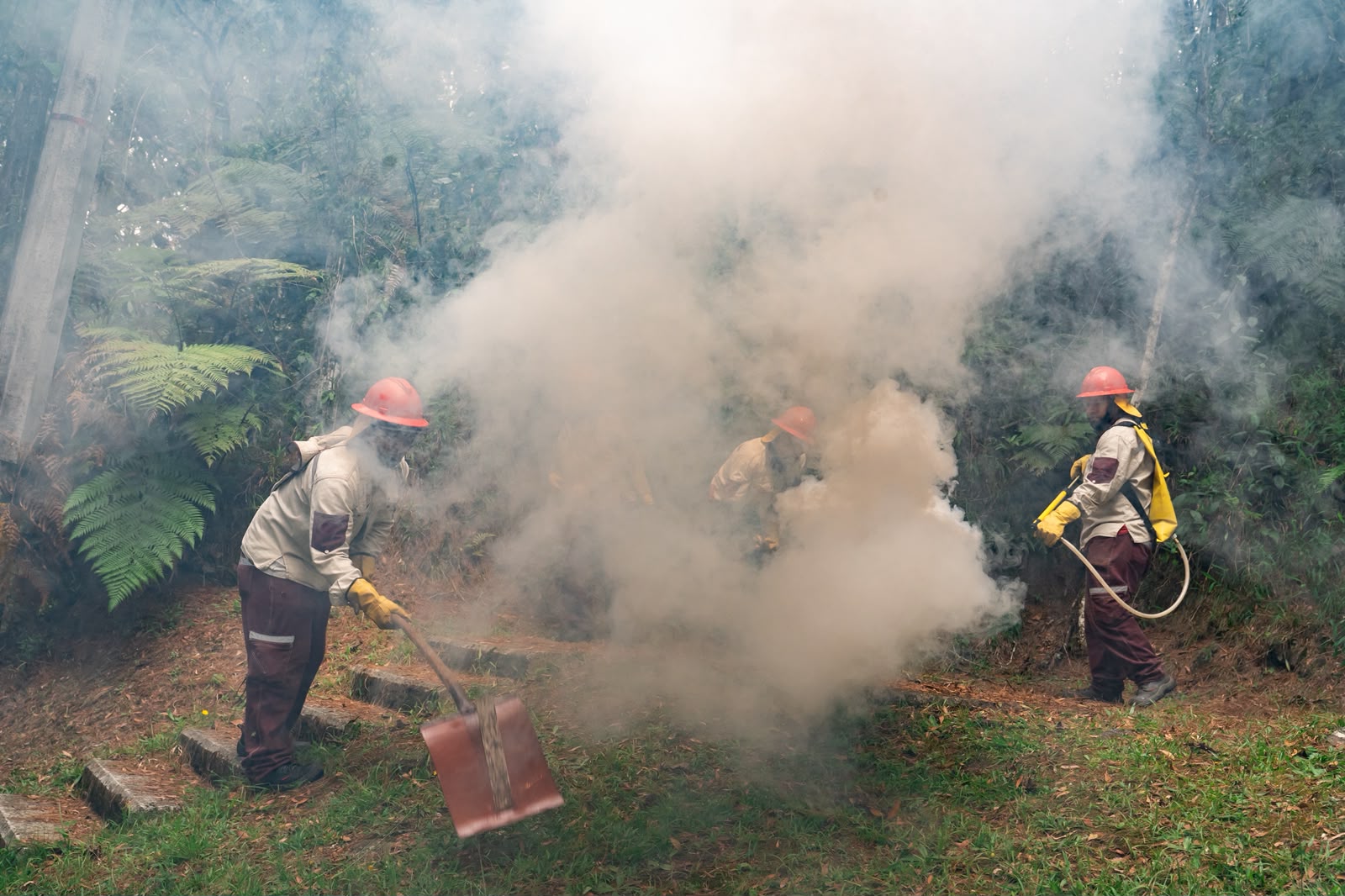 Simulacro en Parque Arví puso a prueba respuesta ante incendios forestales por El Niño
