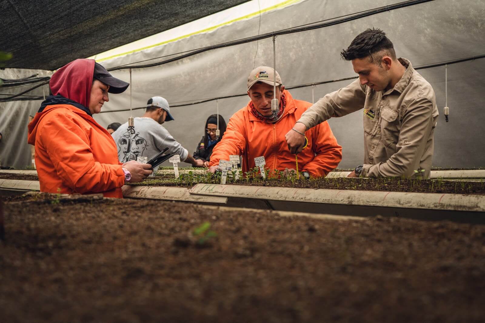 EPM restaura más de 500 hectáreas en Cundinamarca