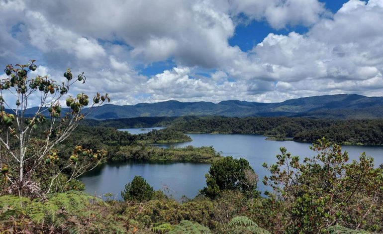 Medellín será sede del Encuentro de Sostenibilidad Grupo EPM