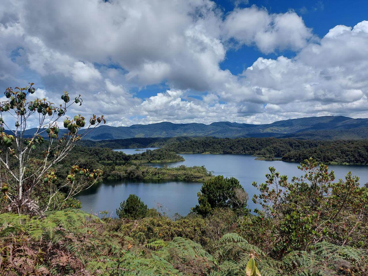 Medellín será sede del Encuentro de Sostenibilidad Grupo EPM