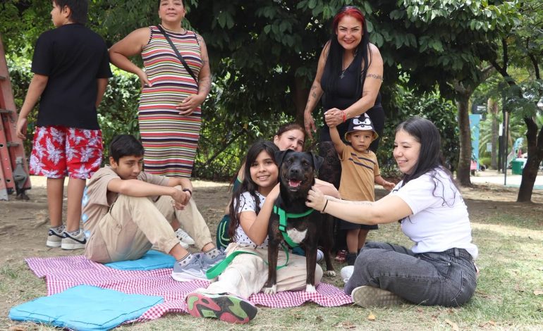 Medellín busca 300 historias infantiles para promover unas fiestas sin pólvora