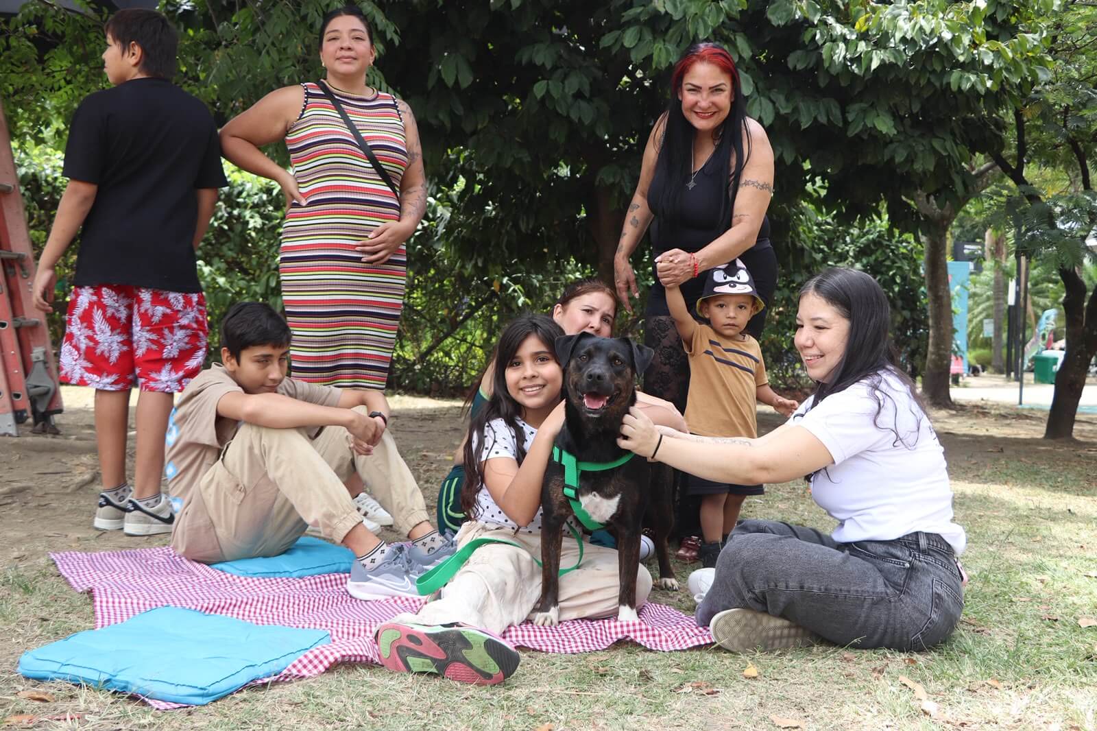 Medellín busca 300 historias infantiles para promover unas fiestas sin pólvora