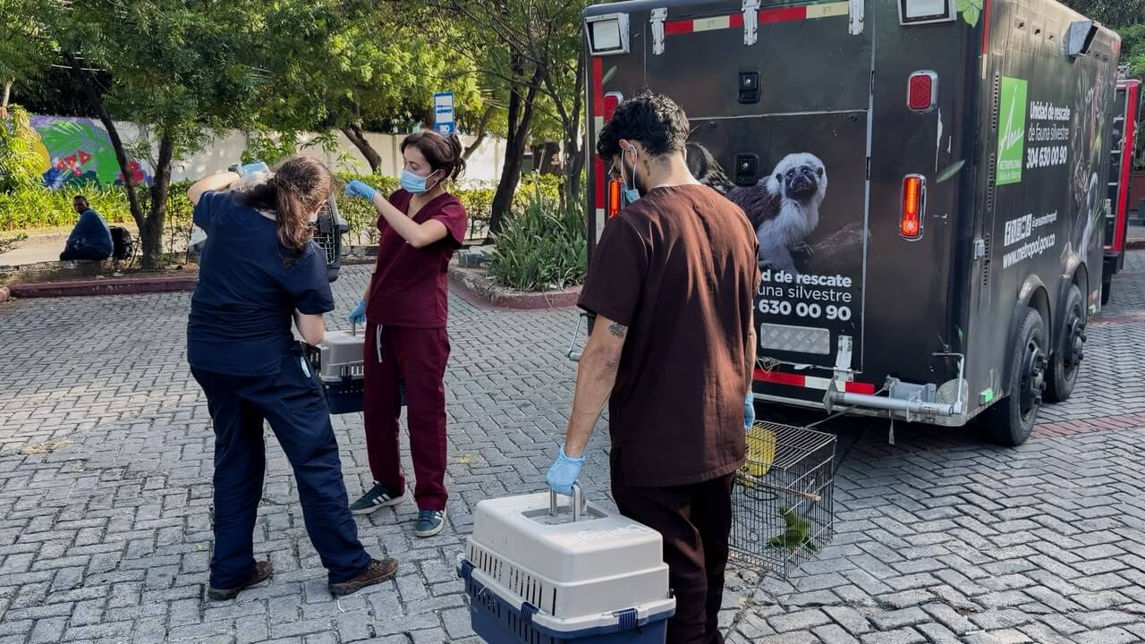 66 animales silvestres del Valle de Aburrá tendrán una nueva vida en Barranquilla