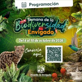 BN_Biodiversidad-Otro Ángulo 400 x 400 px
